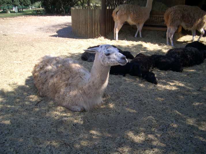 2005-08 La BArben 009.JPG